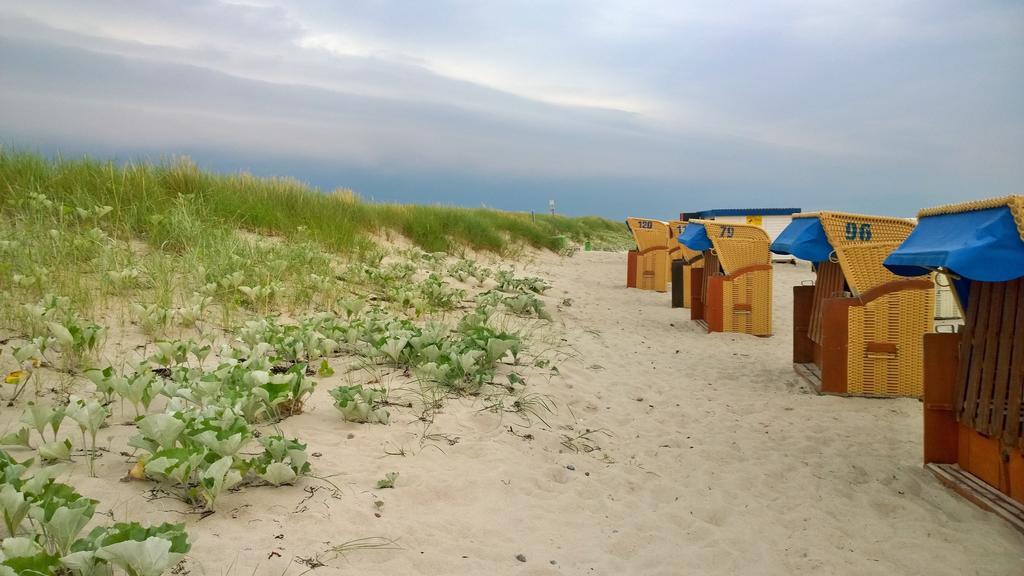 Ostsee Ferienappartement Dierhagen-Strand Zewnętrze zdjęcie