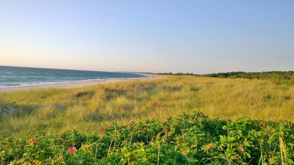Ostsee Ferienappartement Dierhagen-Strand Zewnętrze zdjęcie