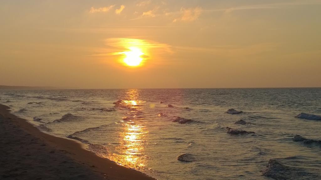 Ostsee Ferienappartement Dierhagen-Strand Zewnętrze zdjęcie