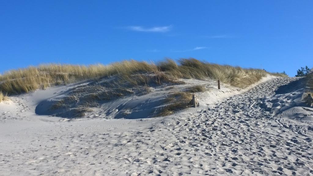 Ostsee Ferienappartement Dierhagen-Strand Zewnętrze zdjęcie