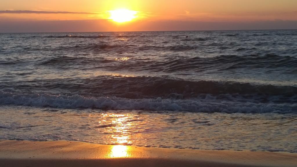 Ostsee Ferienappartement Dierhagen-Strand Zewnętrze zdjęcie