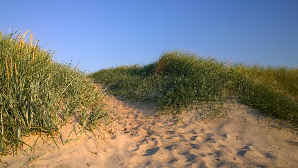 Ostsee Ferienappartement Dierhagen-Strand Zewnętrze zdjęcie