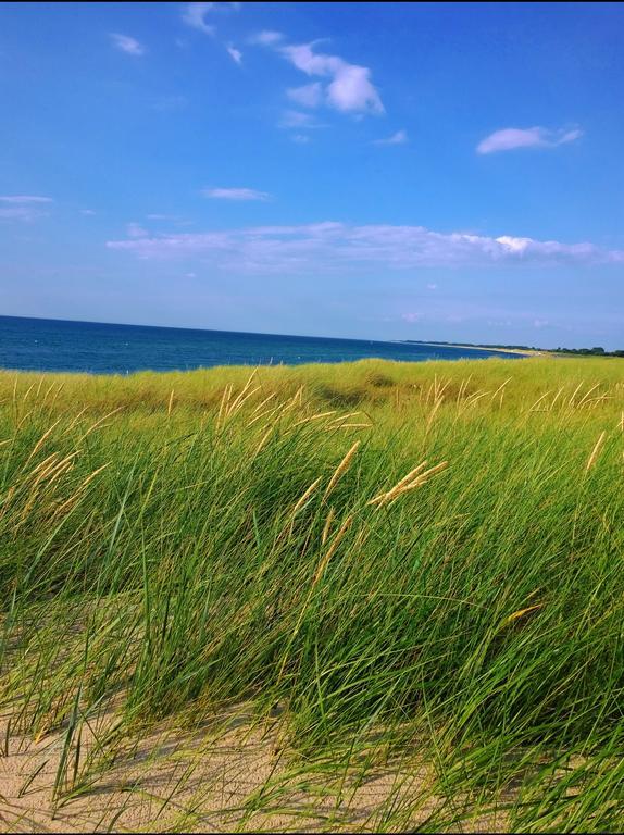 Ostsee Ferienappartement Dierhagen-Strand Zewnętrze zdjęcie